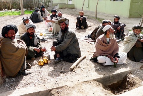 Afghans-480x324.jpg