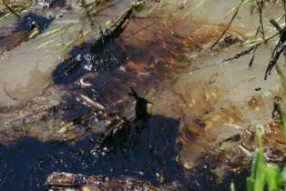 Yellowstone-river-bonogofsky-oil-spill_2251.jpg