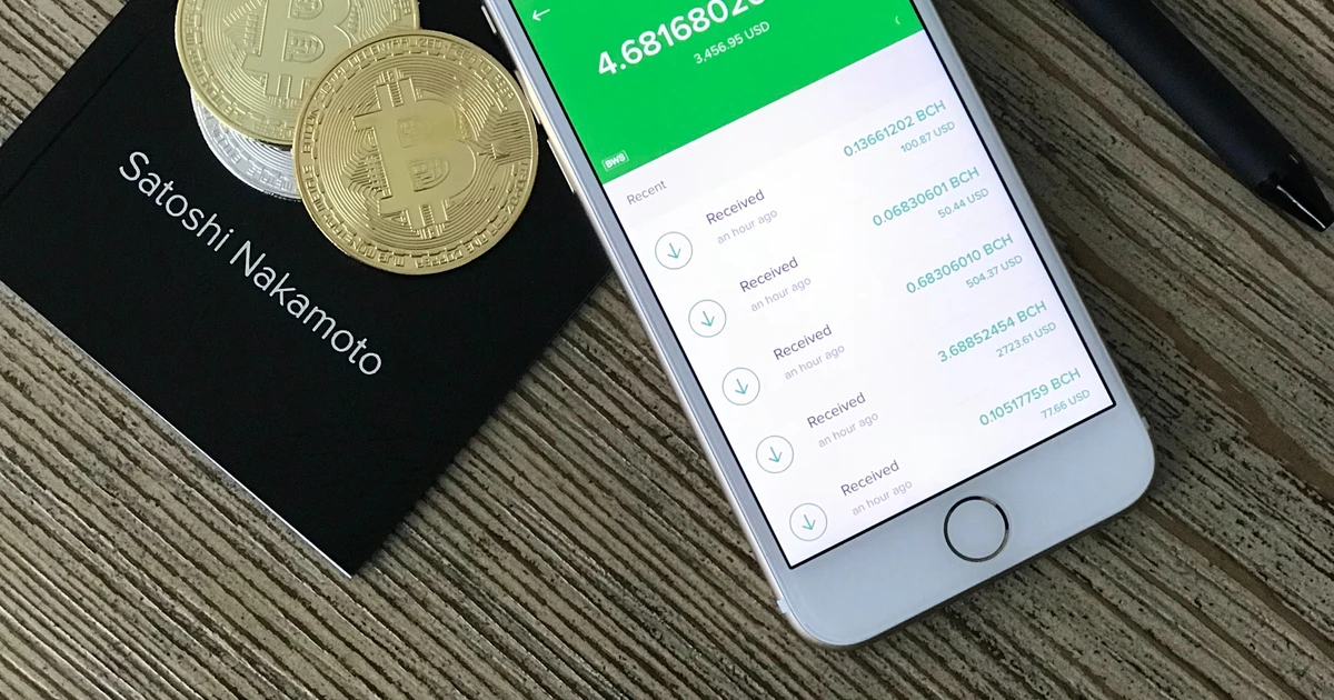 Who owns the biggest Bitcoin wallet