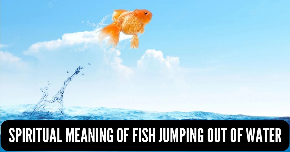 Spiritual Meaning Of Fish Jumping Out Of Water Symbolizes Peace And