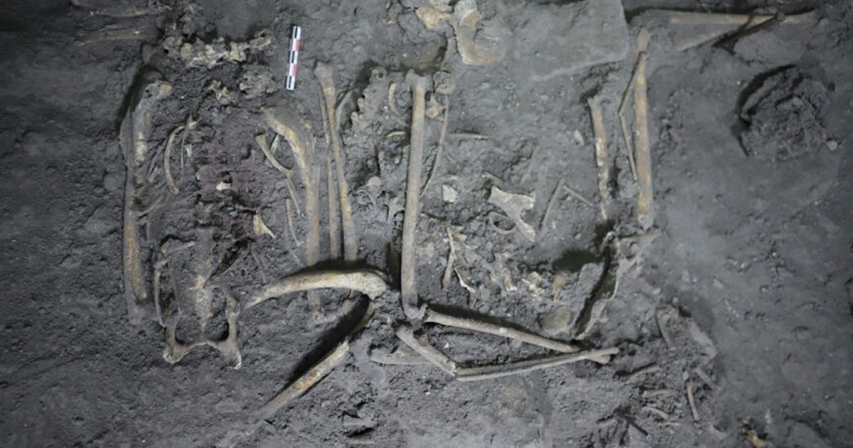 The Remains Of A Spider Monkey Discovered In Teotihuacán, Mexico ...