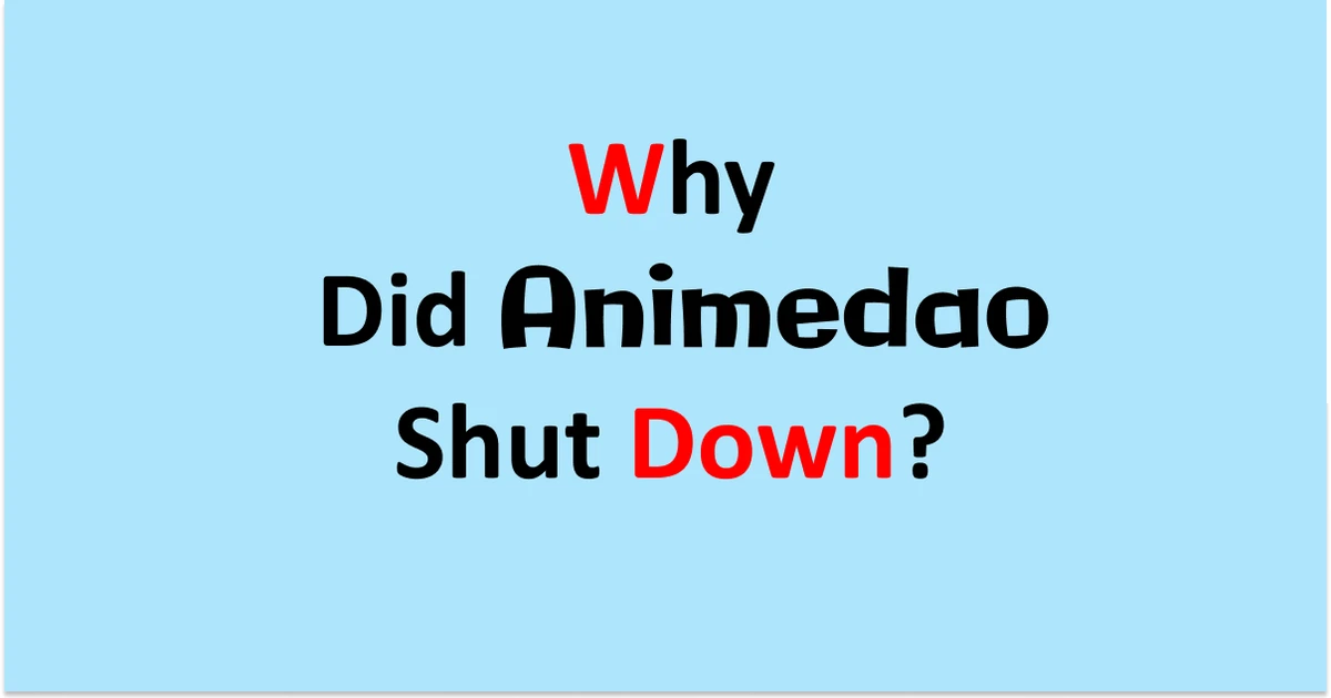 Animedao to Why Was It Shut Down And What Can Fans Do Now 