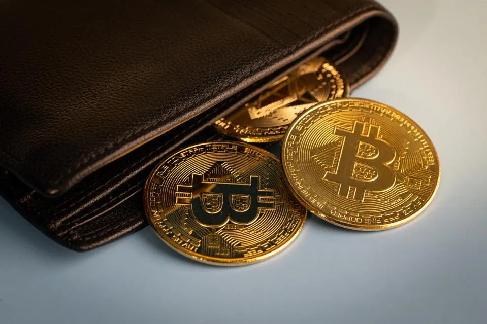 What Are The Best Bitcoin Wallets For Beginners? Here's This Year's Top 14!