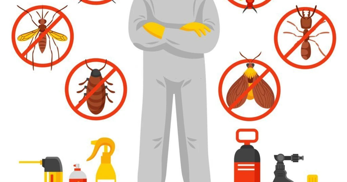 Pest Control Columbia MO Excellence For A BugFree Haven