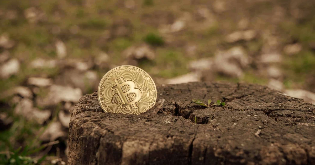 Bitcoin - Boom Or Bust For The Planet? Unveiling The Bitcoin Mining ...